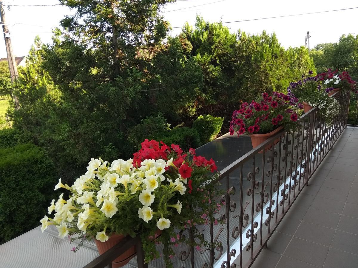 Anna Ilona Vendeghaz Hotel Badacsonytomaj Exterior foto
